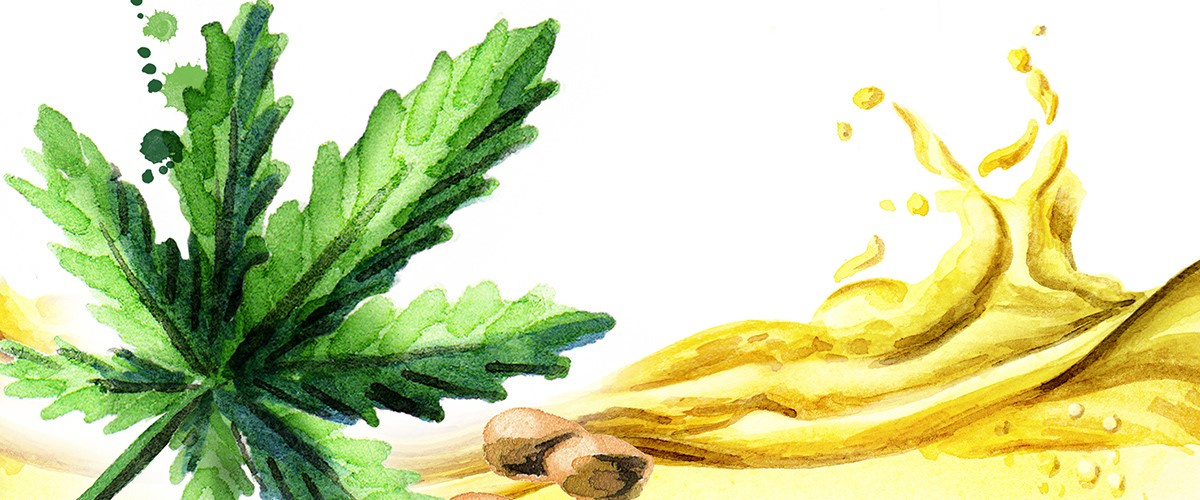 CBD Oil Usa Montgomery 
      AL 36111